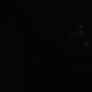 Meet your Posher, Angel